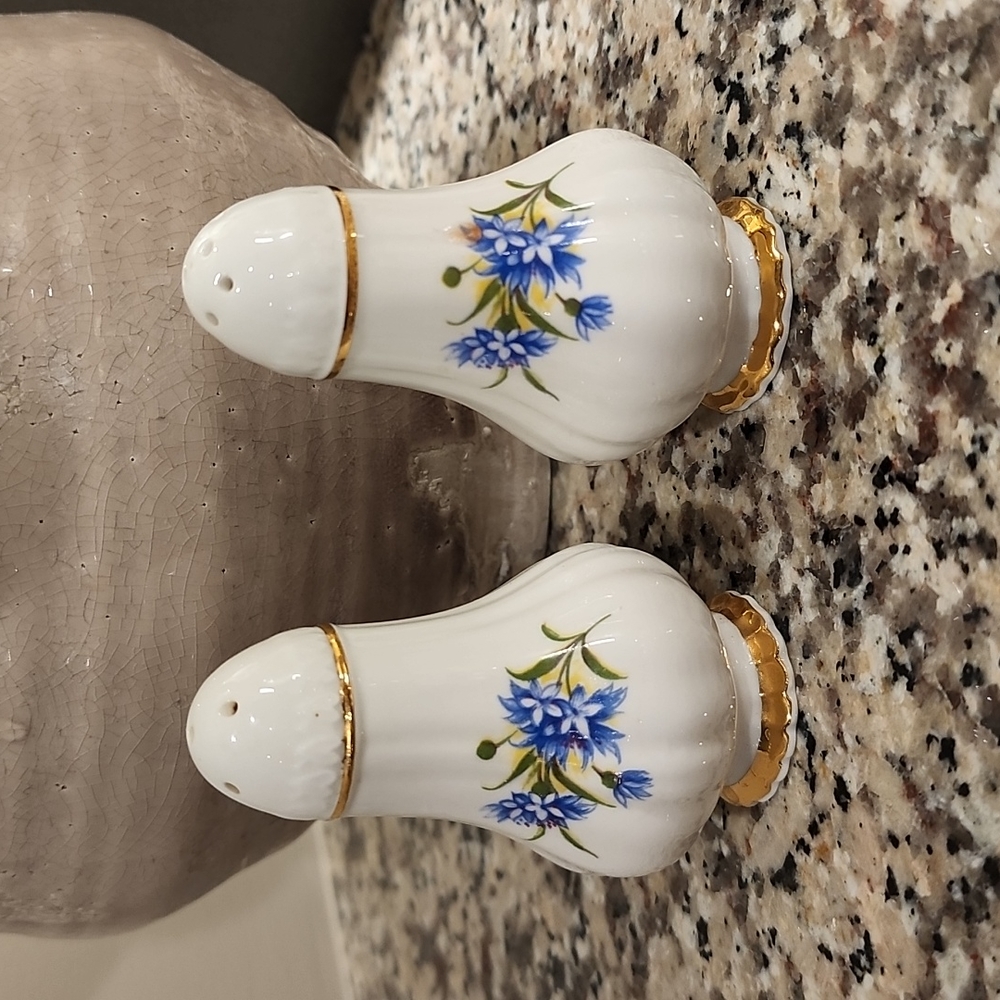 Paragon English flowers salt and pepper shakers.